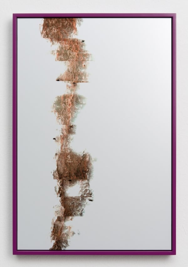 Adrien Missika, Cactus Frottage H, 2012