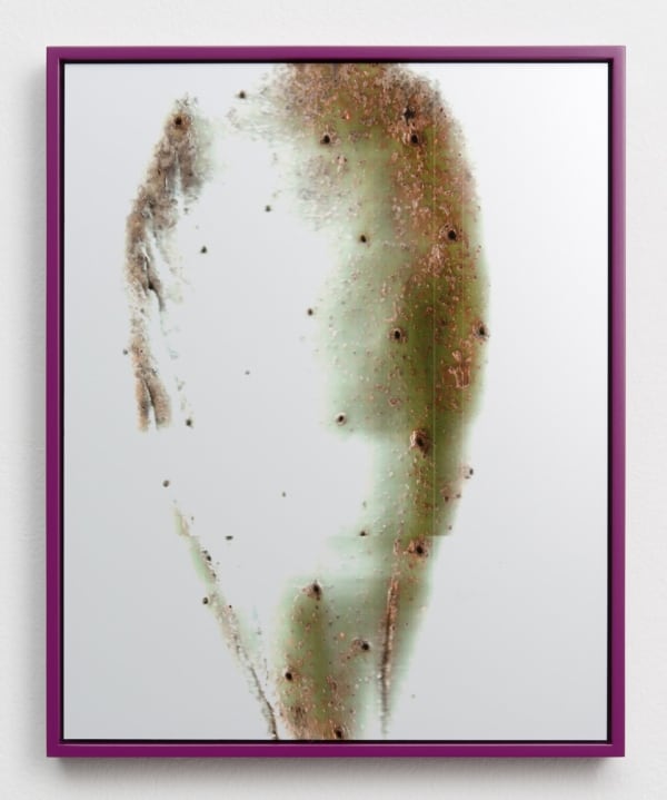 Adrien Missika, Cactus Frottage G, 2012