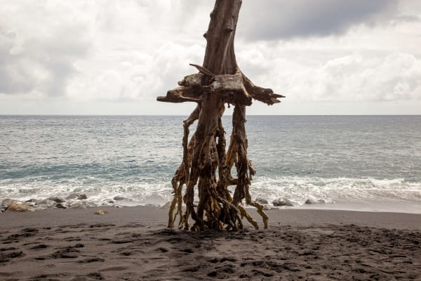 Adrien Missika, Silvain Overlooking the Sea, 2011-2024