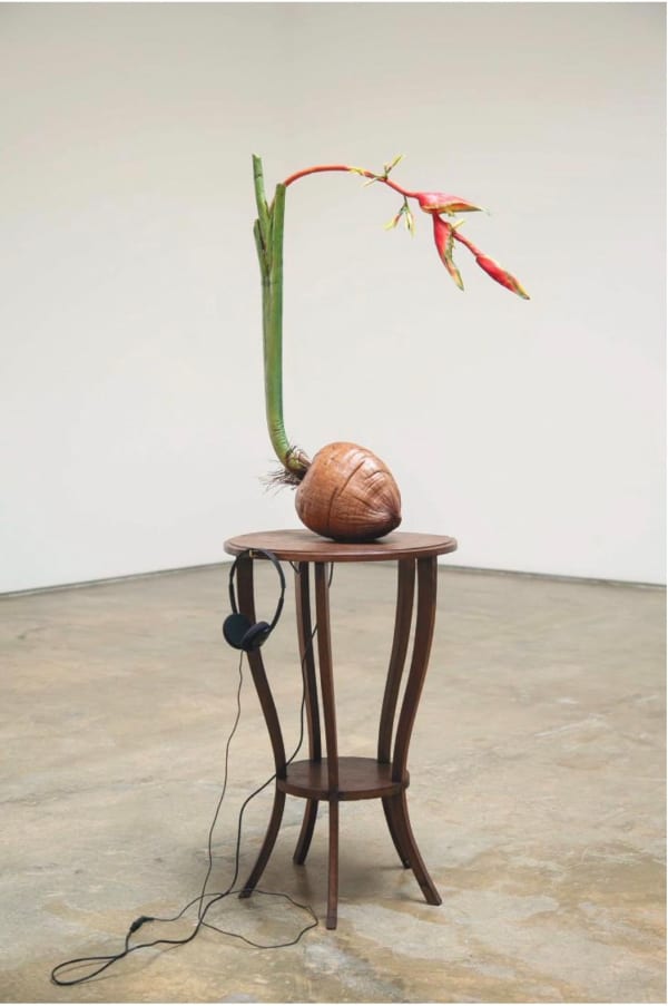 Vasco Araújo - Exotismo 2