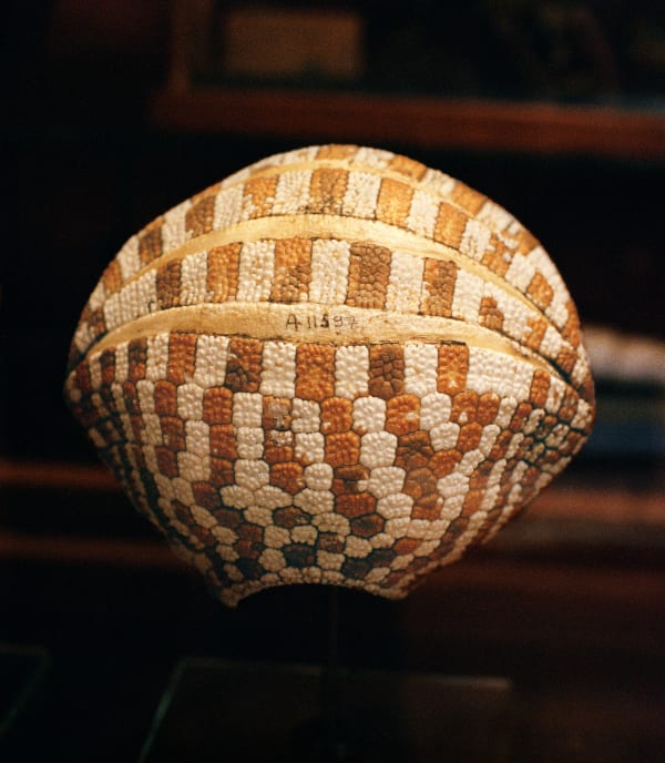 Daniela Ângelo, A11597, 2023