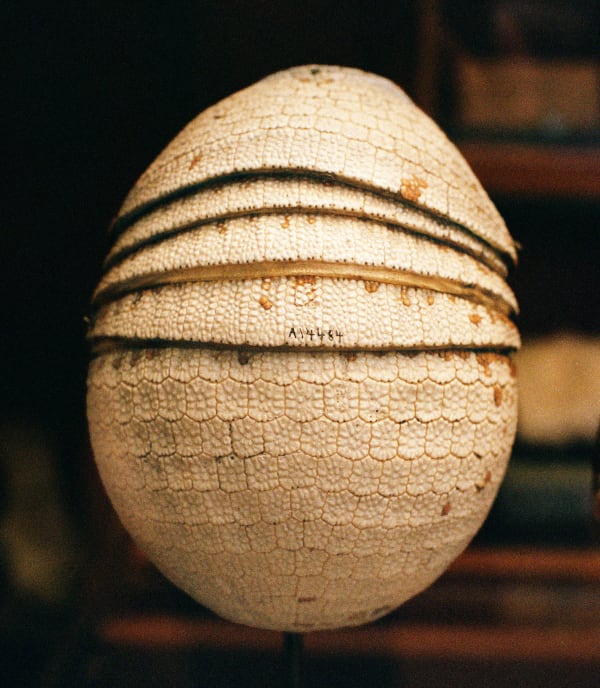 Daniela Ângelo, A14484, 2023