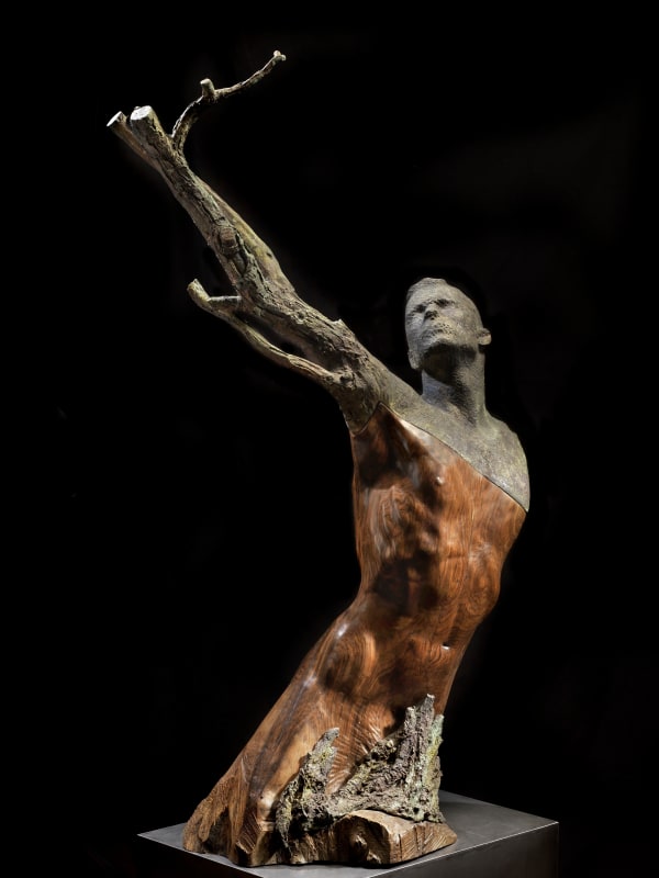 Gabriele Garbolino Ru, Pier delle Vigne, 2017