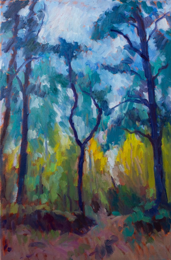 Tentsmuir Forest, Blue Trees