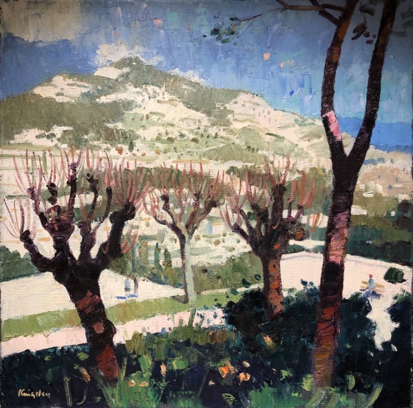 Plane Trees, Provence