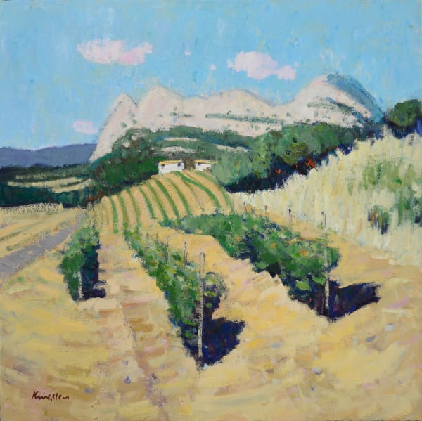 Vineyard, Patrimonio, Corsica