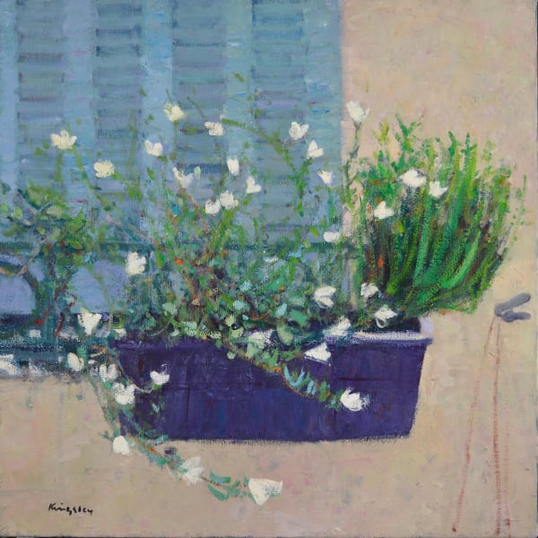 Window Box, Bastia