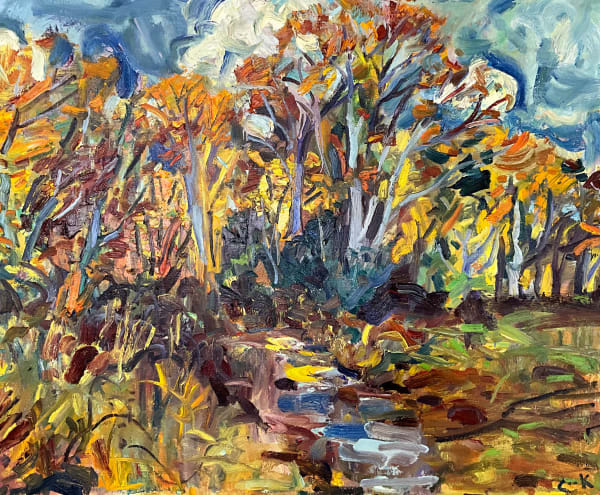 The Forest at Finella