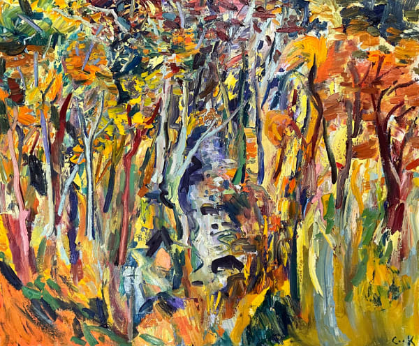 River Through Finella Woods
