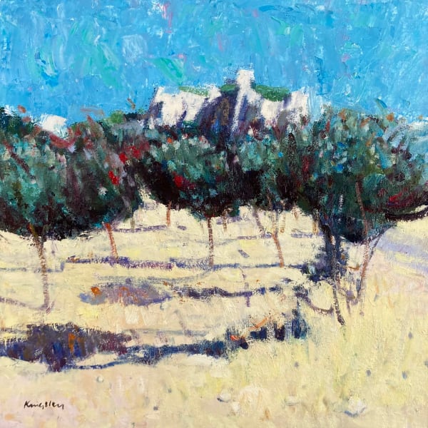 Olive Grove, St Rémy de Provence