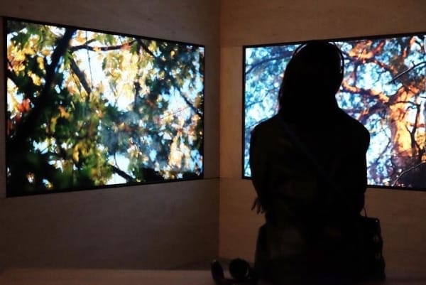 Lydia Hannah Debeer, Dearest Strangers, 2022