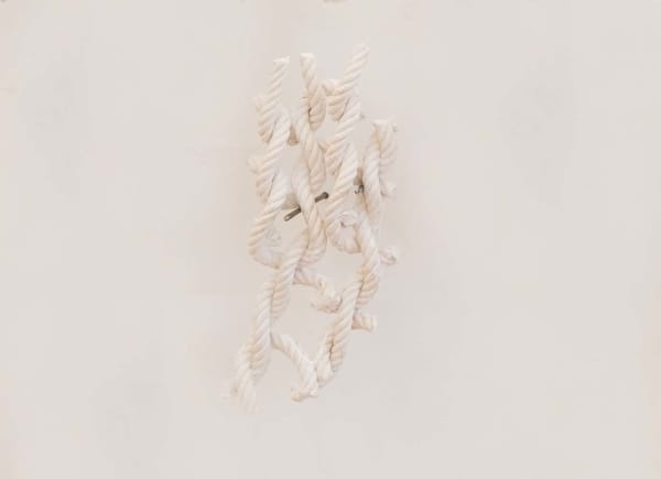 Liesbeth Henderickx, Gewand #18, 2023
