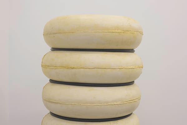 © Photo: Samuel Solazzo, 2023