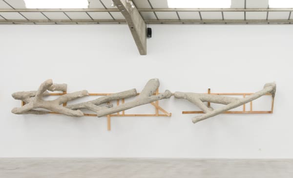 Leyla Aydoslu, 2019 XIX, 2019