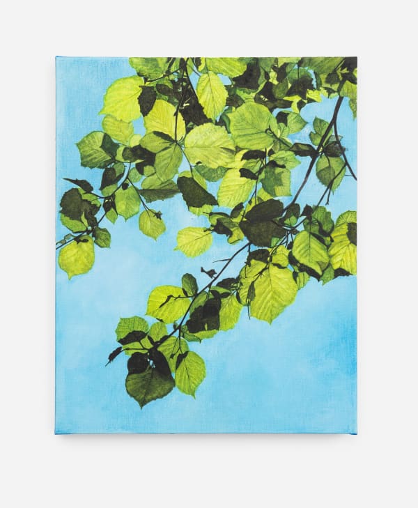 Rebecca Partridge Day Trees (WG I), 2025 Watercolour on linen 50 x 40 cm 19 3/4 x 15 3/4 in