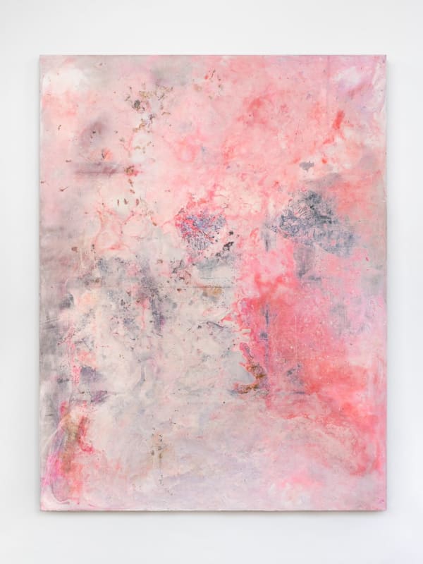 Silke Weißbach High on You, 2023 Acrylic, soap, shea butter pva, pigments, hot pink (ink), wax, Magic Bells - Mother of Thousands (Kalanchoe daigremontiana), comfort (lily and riceflower) on linen 210 x 160 cm 82 5/8 x 63 in