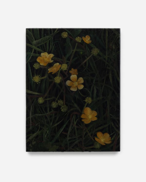 Rebecca Partridge Wildflowers, Night: Buttercup, 2025 Oil on panel 17 x 13 cm 6 3/4 x 5 1/8 in