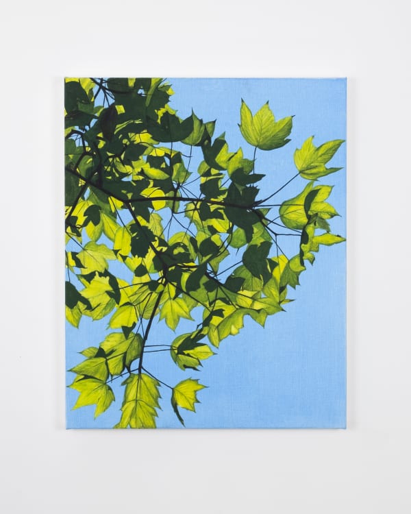 Rebecca Partridge Day Trees (WG III), 2025 Watercolour on linen 50 x 40 cm 19 3/4 x 15 3/4 in