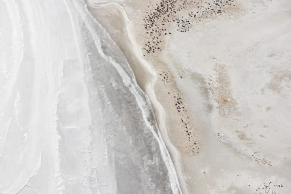 Brooke Holm, Sea Lake I, 2018