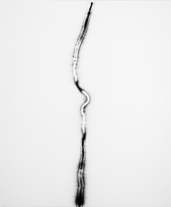 Jan Tichy, Bowery Print I, 2020