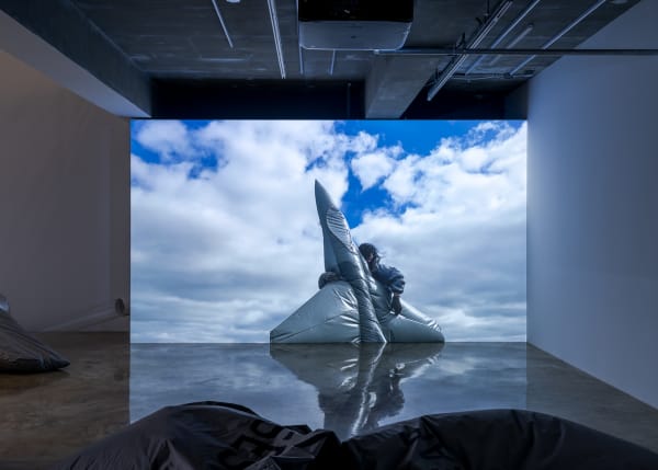 FIONA BANNER AKA THE VANITY PRESS, Pranayama Organ, 2021