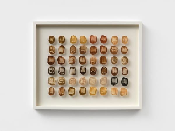 90 MILLION YEARS AND COUNTING 1, 2025