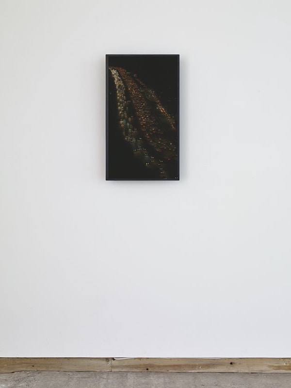 FIONA TAN Vertical Wide, 2018 Endless video, HD, colour, silent Edition of 4 plus 1 AP