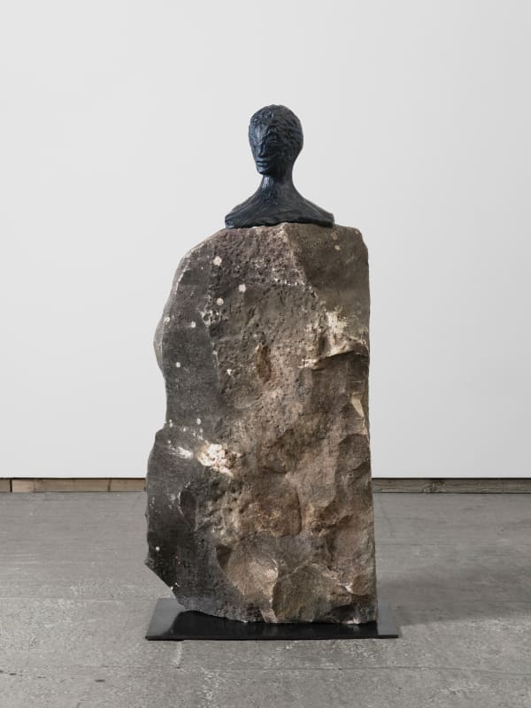 DANIEL SILVER, Fly With Me, 2024