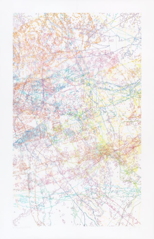 Ingrid Calame, #313 Drawing (Tracings from Buffalo, NY), 2008