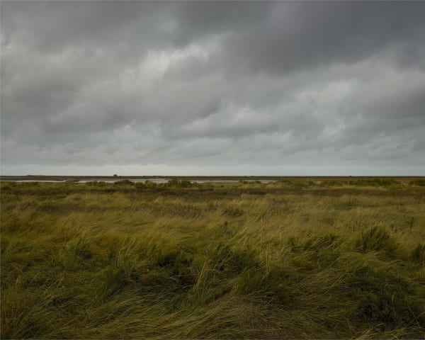 JOHN RIDDY, Blakeney, 2021–22, (Series)