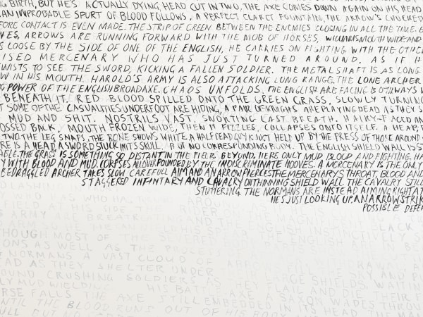 FIONA BANNER AKA THE VANITY PRESS 1066, 2010 Indian ink on wall 2150 x 400 cm 846.5 x 157.5 in Edition of 3