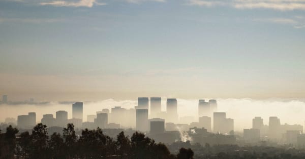 FIONA TAN, Elsewhere, 2018