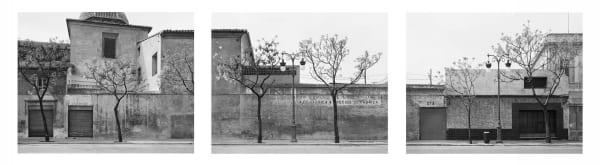 JOHN RIDDY Valencia (Seven Trees), 1996 Silver gelatin print each 38 x 48 cm each 15 x 18.9 in Edition of 5