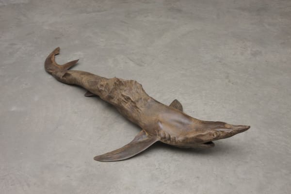 DOROTHY CROSS, Everest Shark, 2013