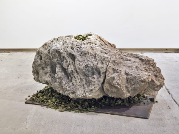 Giuseppe Penone, Pietra di foglie, 2006