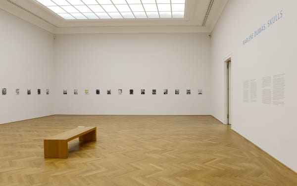 Marlene Dumas. Skulls, 2017 Albertinum, Gemäldegalerie Neue Meister, Staatliche Kunstsammlungen, Dresden, Germany Solo exhibition with Jan Andriesse and Bert Boogaard