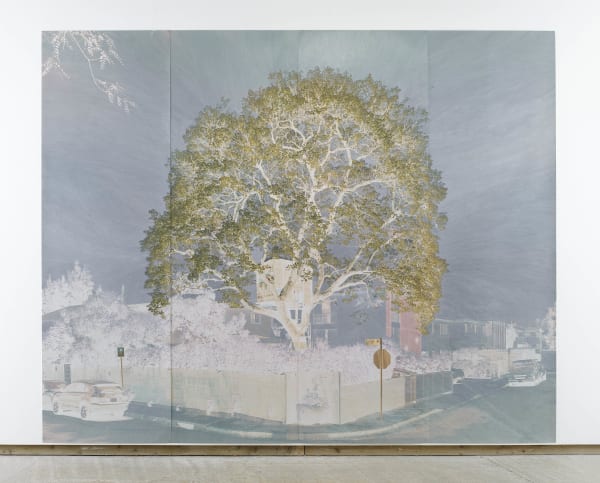 TACITA DEAN Purgatory (Mount I), 2021