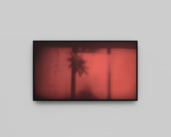 ANNA BARRIBALL, The sun (Rosa's room), 2024
