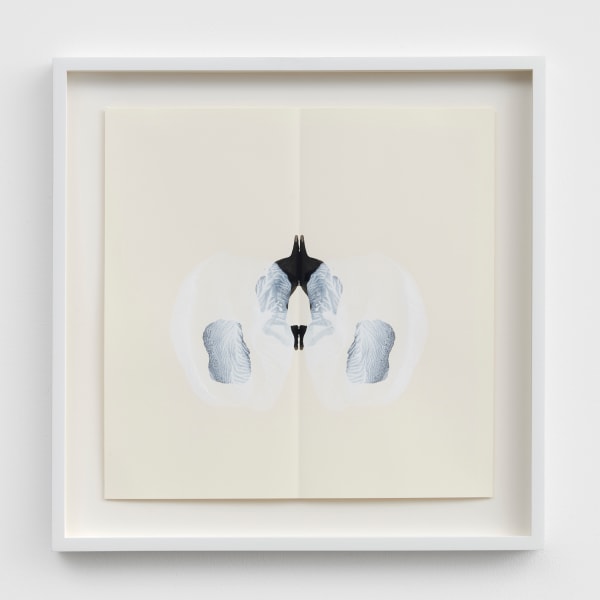 Poison and Antidote Drawing, 2010