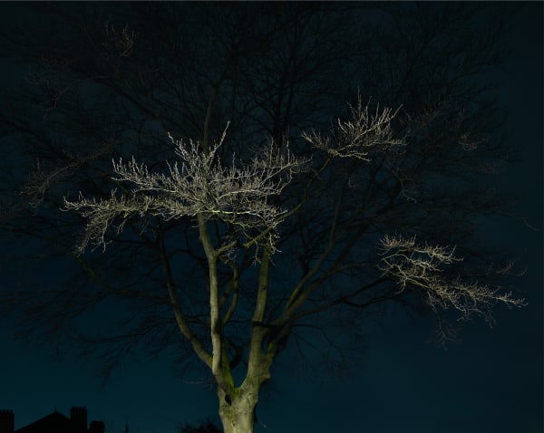 JOHN RIDDY London (Herne Hill 1), 2017 Archival pigment print 98 x 123 cm (unframed) Edition of 5 plus 1 AP