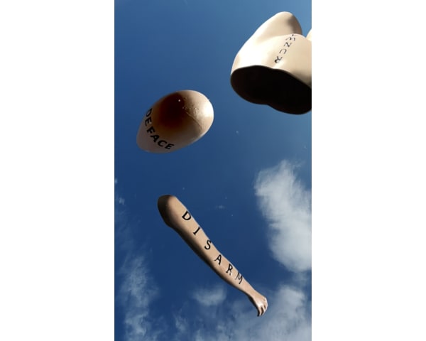 FIONA BANNER AKA THE VANITY PRESS, DISARM (portrait), 2023