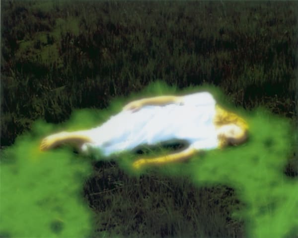 Annelies Strba, Frances and the Elves, 2004