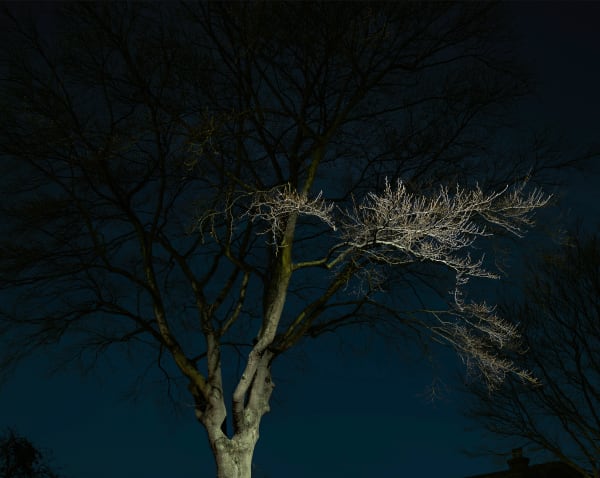 JOHN RIDDY London (Herne Hill 2), 2017 Archival pigment print 98 x 123 cm (unframed) Edition of 5 plus 1 AP