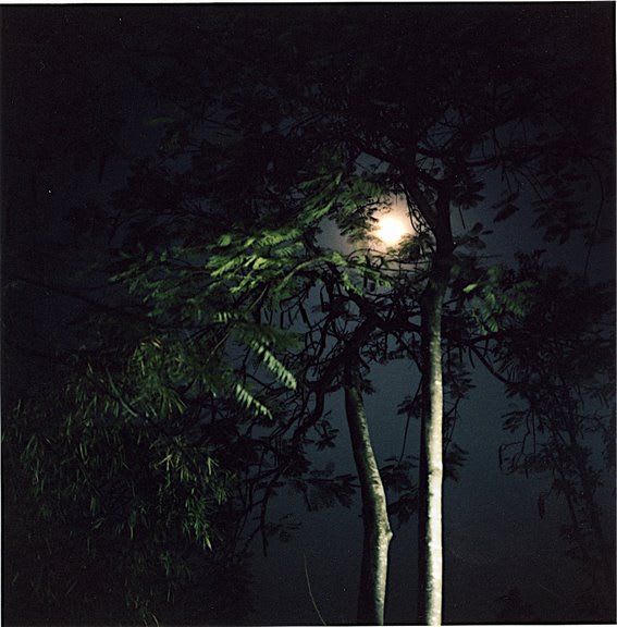 DAYANITA SINGH Dream Villa 24, 2007, 2008 C-type print 46 x 46 cm (image) Edition of 7