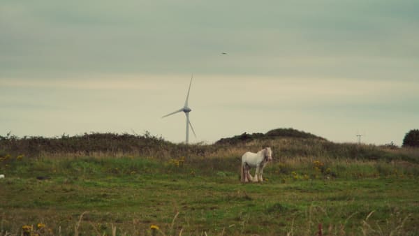 RAQS MEDIA COLLECTIVE, Provisions for Everybody, 2018/2022