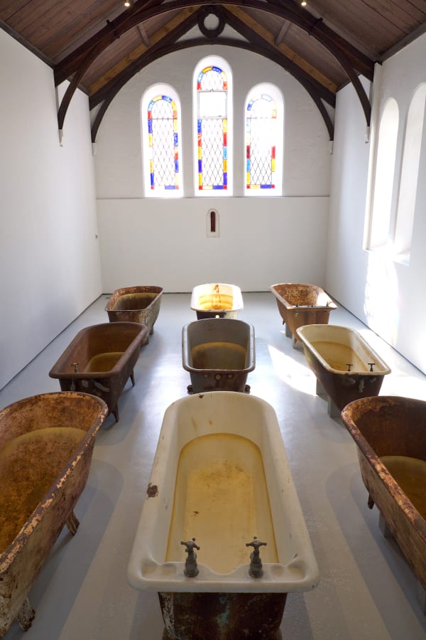 DOROTHY CROSS, Eye of Shark, 2014