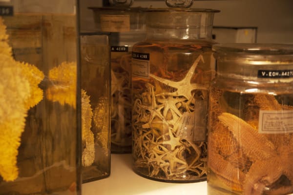 FIONA TAN, Depot, 2015