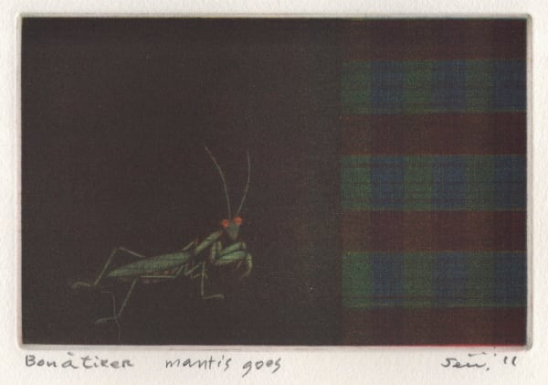 Seiichi Hiroshima, Mantis Goes, 2011