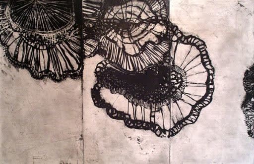 Ritsuko Ozeki, Netting F, 2006