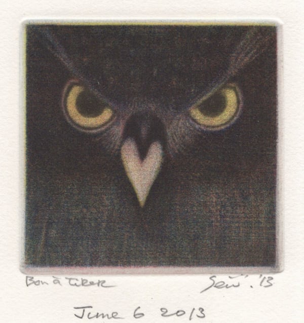 Seiichi Hiroshima, Owl A, 2013